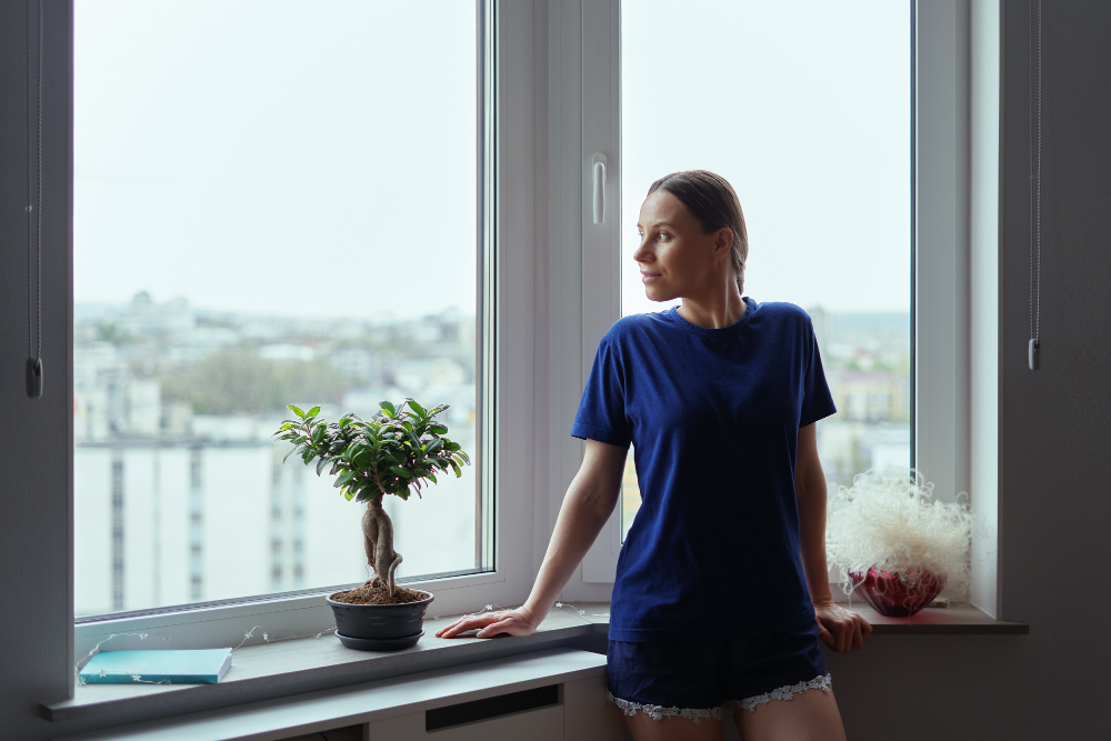 Duluth Window Styles